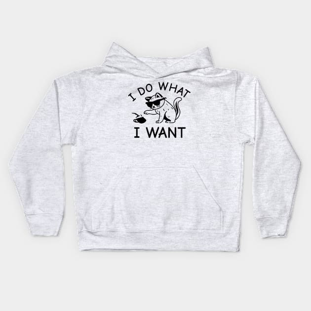 Cat I Do What I Want Kids Hoodie by VinsendDraconi